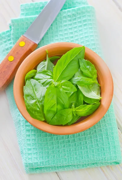 Fresh basil — Stock Photo, Image