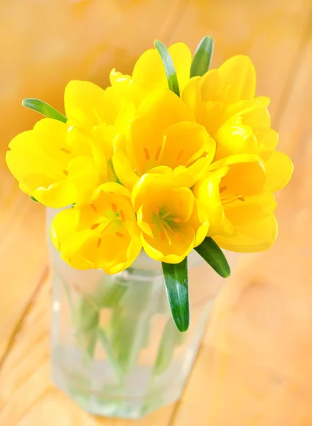 Yellow flowers — Stock Photo, Image