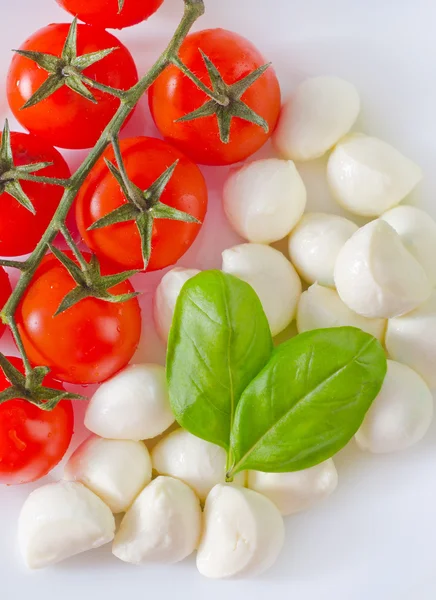 Mozzarella — Stockfoto