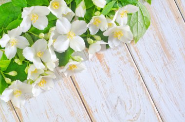 Yasemin bahar çiçekli çerçeve beyaz zemin üzerine