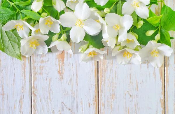 Moldura de flores de primavera jasmim no fundo branco — Fotografia de Stock