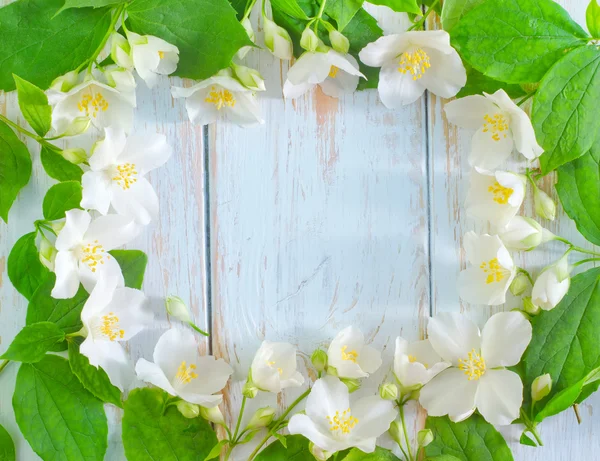 Jasmijn voorjaar Bloemenlijst op witte achtergrond — Stockfoto