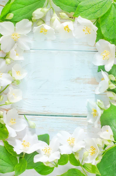 Jasmijn voorjaar Bloemenlijst op witte achtergrond — Stockfoto