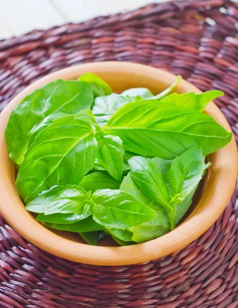 Fresh basil — Stock Photo, Image