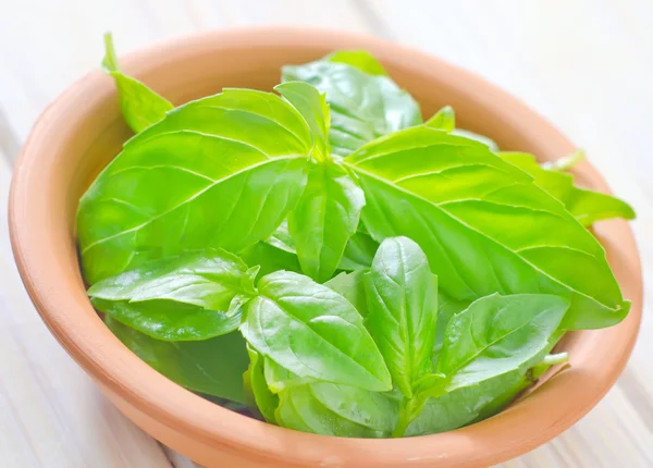 Fresh basil — Stock Photo, Image