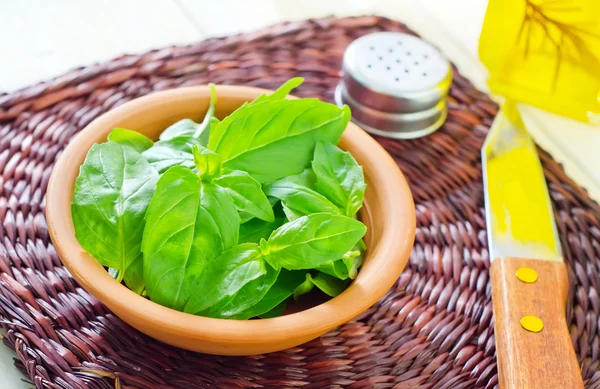 Fresh basil — Stock Photo, Image