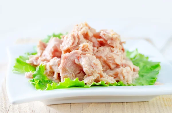 Salade van tonijn — Stockfoto