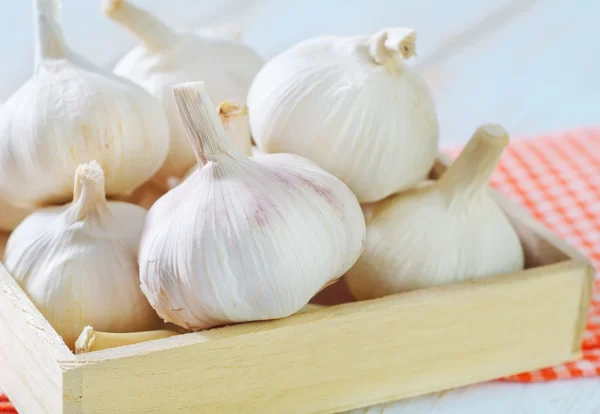 Garlic — Stock Photo, Image