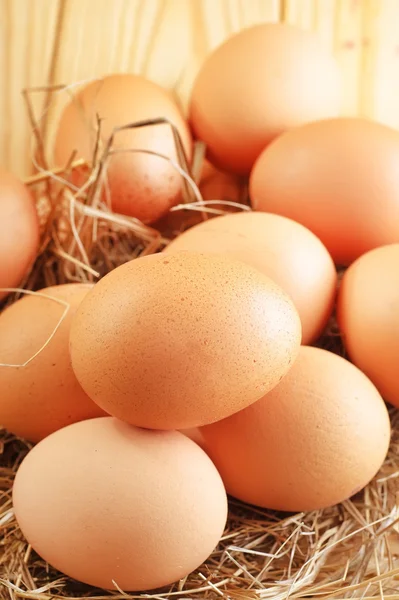 Raw eggs — Stock Photo, Image