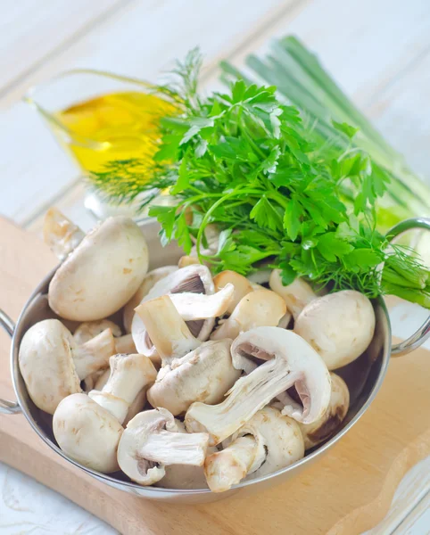 Mushroom — Stock Photo, Image