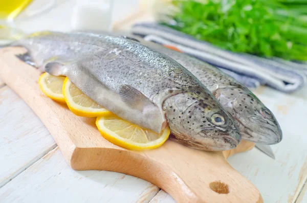 Pescado crudo — Foto de Stock