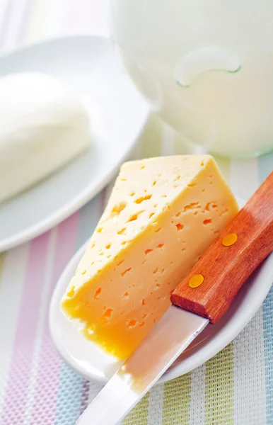 Fresh cheese on the white plate — Stock Photo, Image