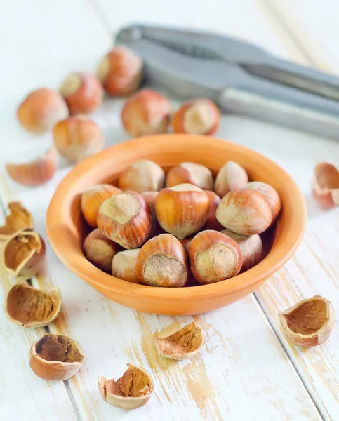 Hasselnötter — Stockfoto