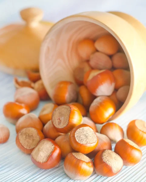 Hazelnuts — Stock Photo, Image