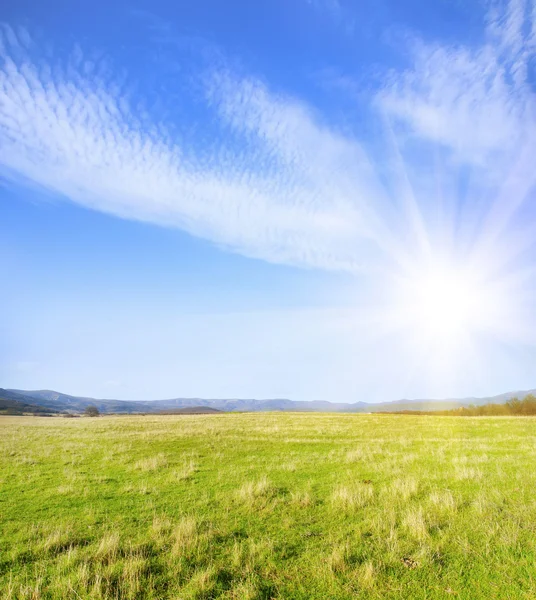 Field — Stock Photo, Image