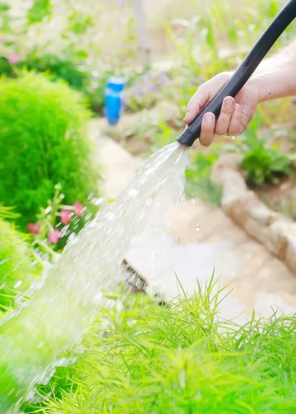 Watering with hose — Stock Photo, Image
