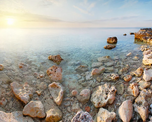 Taşlar ile plaj — Stok fotoğraf