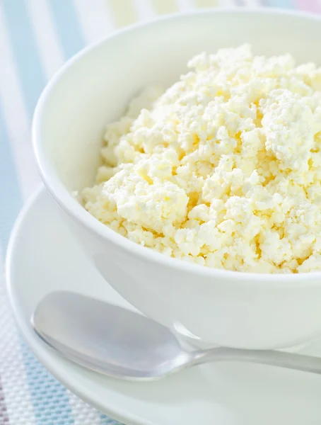 Cottage cheese in white bowl — Stock Photo, Image