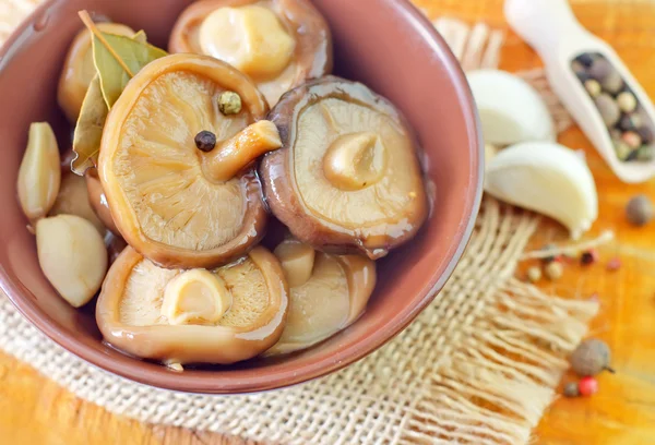 Mushrooms — Stock Photo, Image