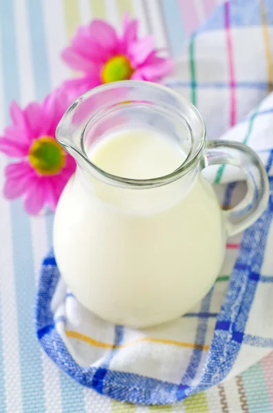Молоко в кувшине — стоковое фото