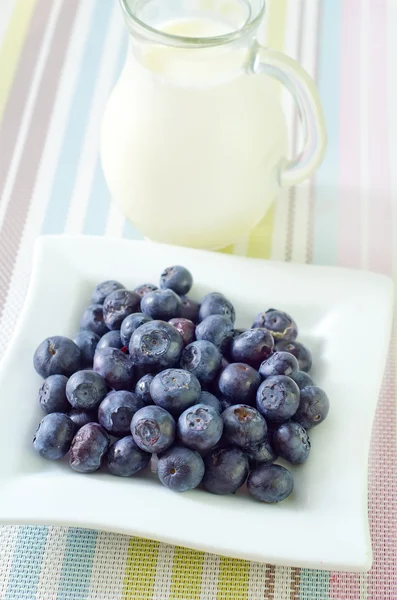 Blueberry — Stock Photo, Image