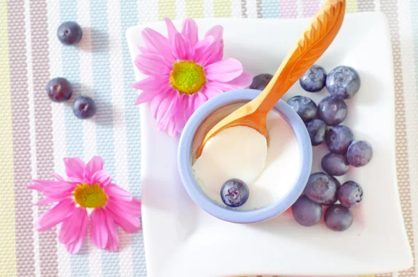 与蓝莓酸奶 — 图库照片