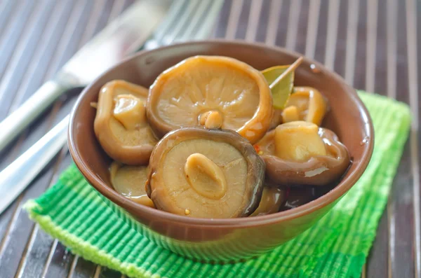 Mushroom — Stock Photo, Image