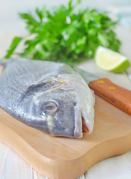 Peixe dorado — Fotografia de Stock