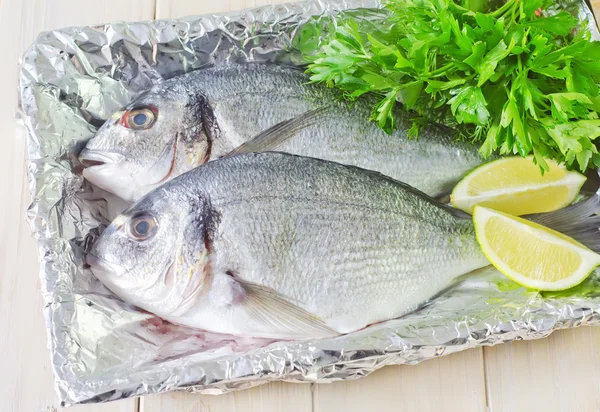 Peixe dorado — Fotografia de Stock