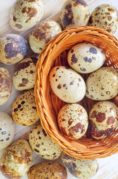 Huevos de codorniz — Foto de Stock