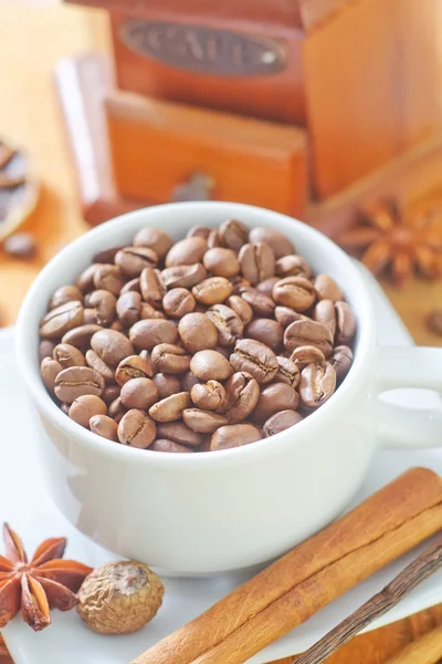Koffie en aroma kruid — Stockfoto