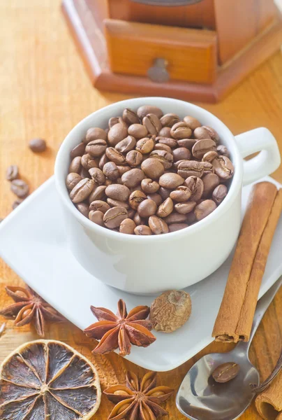 Coffee and aroma spice — Stock Photo, Image