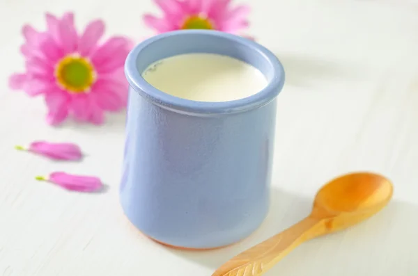 Yogurt — Stock Photo, Image