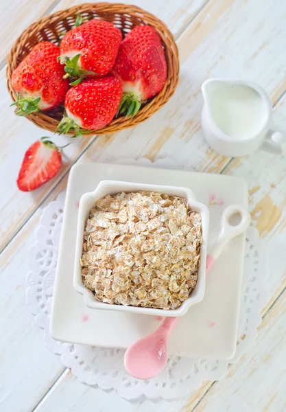 Oat flakes — Stock Photo, Image