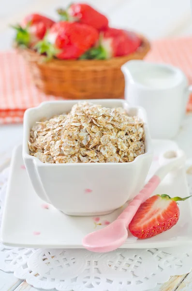 Oat flakes — Stock Photo, Image