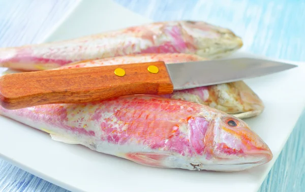 Mullet — Stock Photo, Image