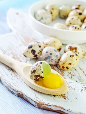 bıldırcın yumurtası