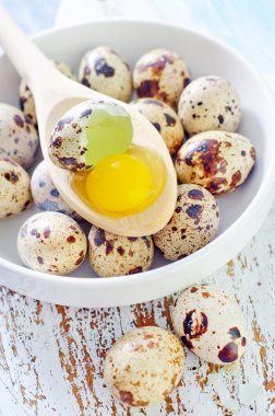 bıldırcın yumurtası