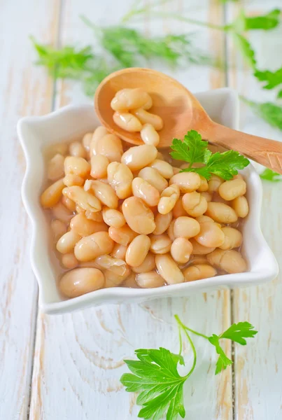 White bean — Stock Photo, Image