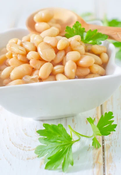 White bean — Stock Photo, Image