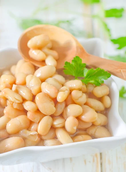 White bean — Stock Photo, Image