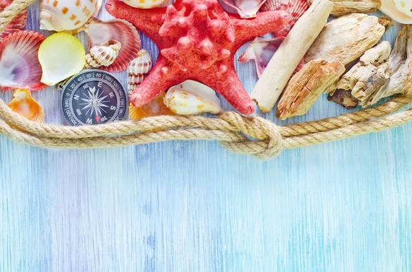 Conchiglie di mare su sfondo blu — Foto Stock