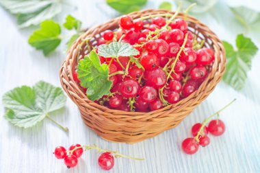 taze kırmızı curant