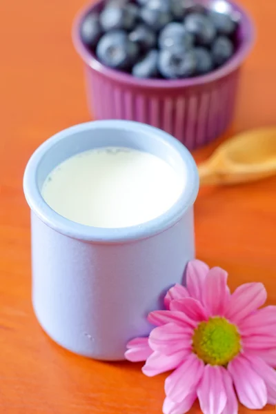 Blåbär och yoghurt — Stockfoto