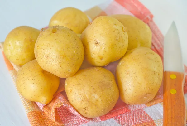 Rå potatis — Stockfoto