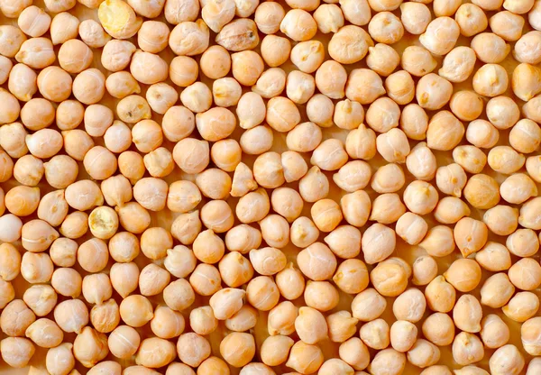 Chickpeas — Stock fotografie