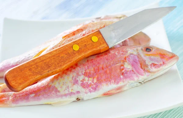 Raw fish — Stock Photo, Image