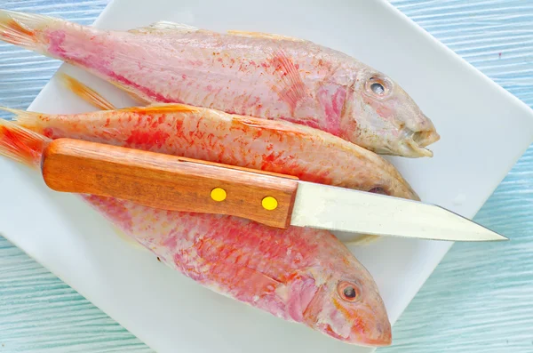 Pesce crudo — Foto Stock