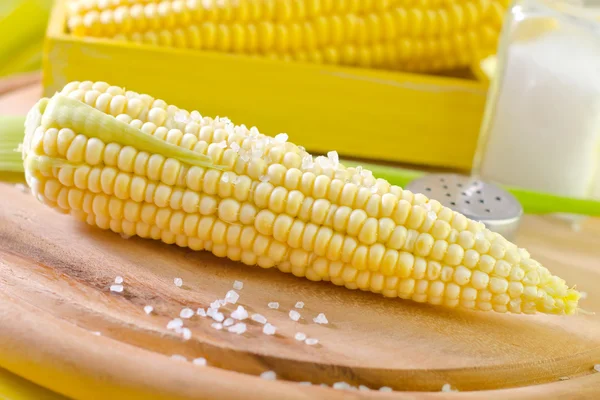 Gekookte maïs met zout — Stockfoto