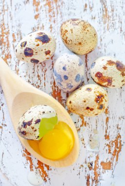 bıldırcın yumurtası